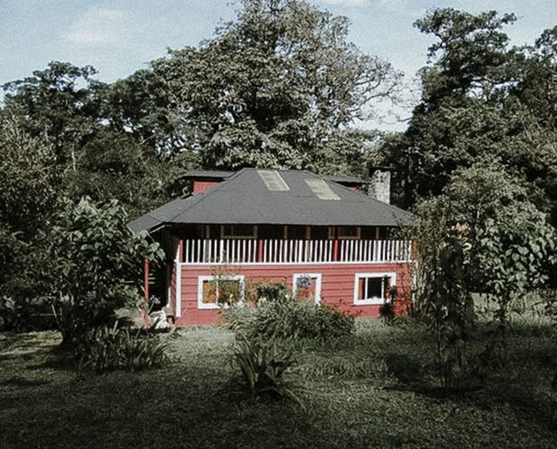 jonas-reindl-coffee-roasters-vienna-origin-panama-finca-hartmann-3 jonas-reindl-coffee-roasters-vienna-origin-panama-finca-hartmann-3