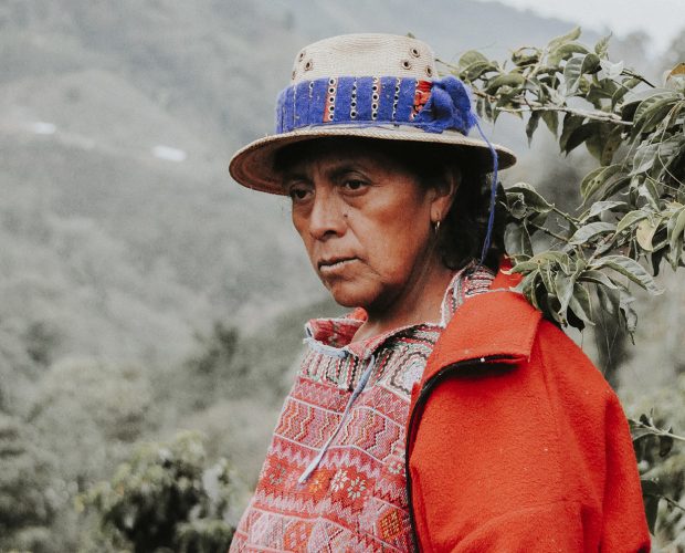 jonas-reindl-coffee-roasters-vienna-origin-guatemala-finca-quejina-crop-2 jonas-reindl-coffee-roasters-vienna-origin-guatemala-finca-quejina-crop-2