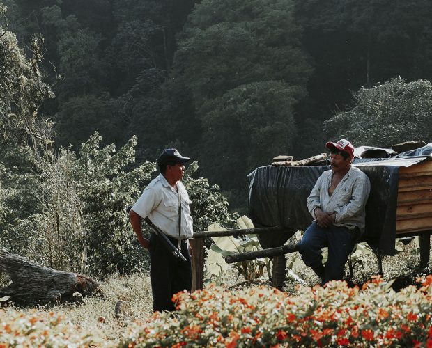 jonas-reindl-coffee-roasters-vienna-origin-nicaragua-finca-los-alpes-2 jonas-reindl-coffee-roasters-vienna-origin-nicaragua-finca-los-alpes-2