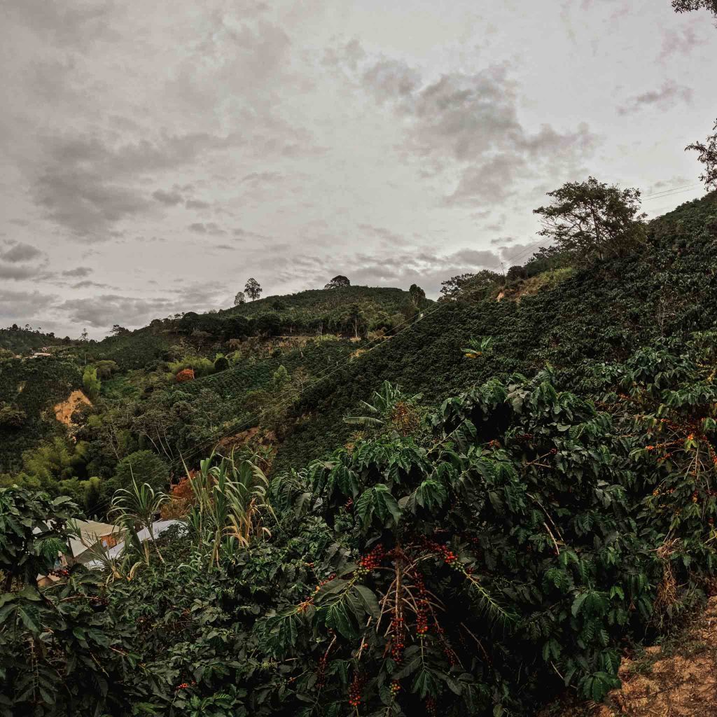 DCIM100GOPROGOPR1849.JPG