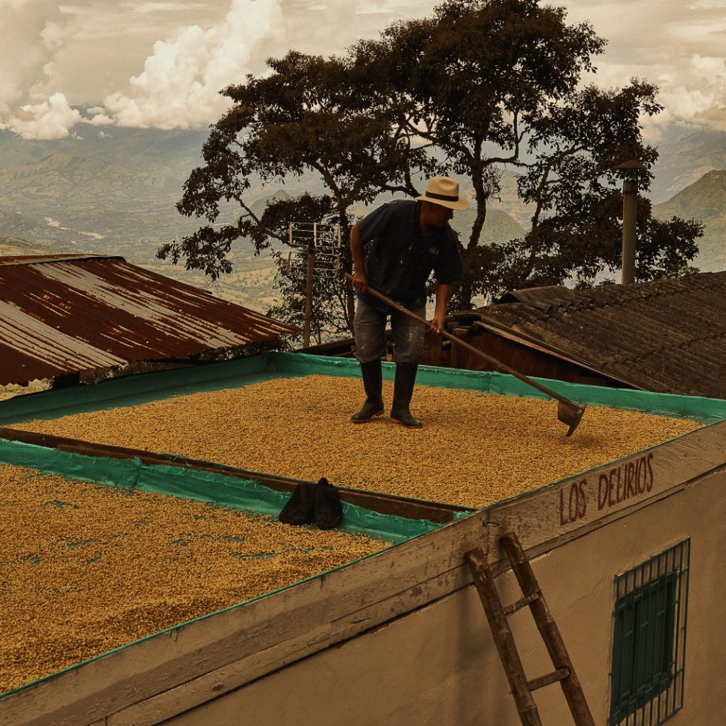 reindl-origin-valparaiso-2