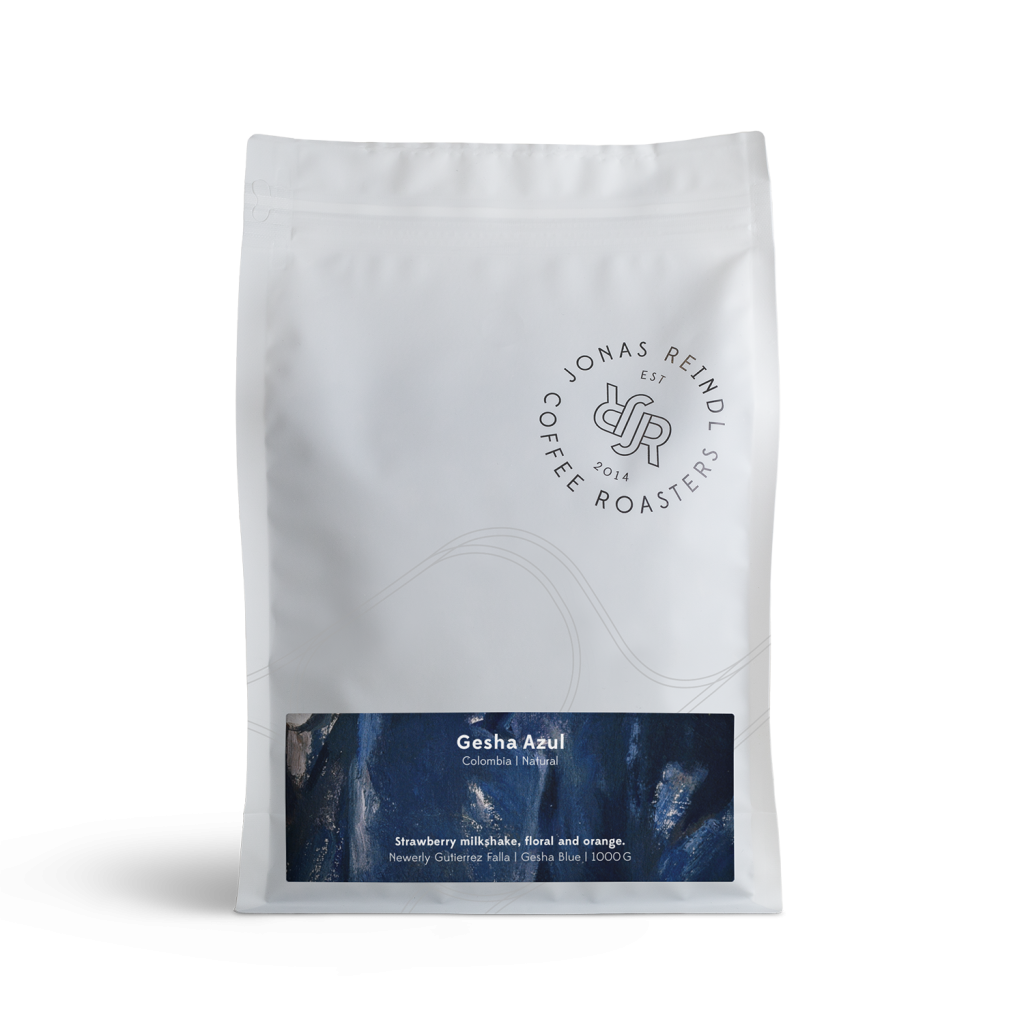 reindl-ps-1000g-gesha-azul-s