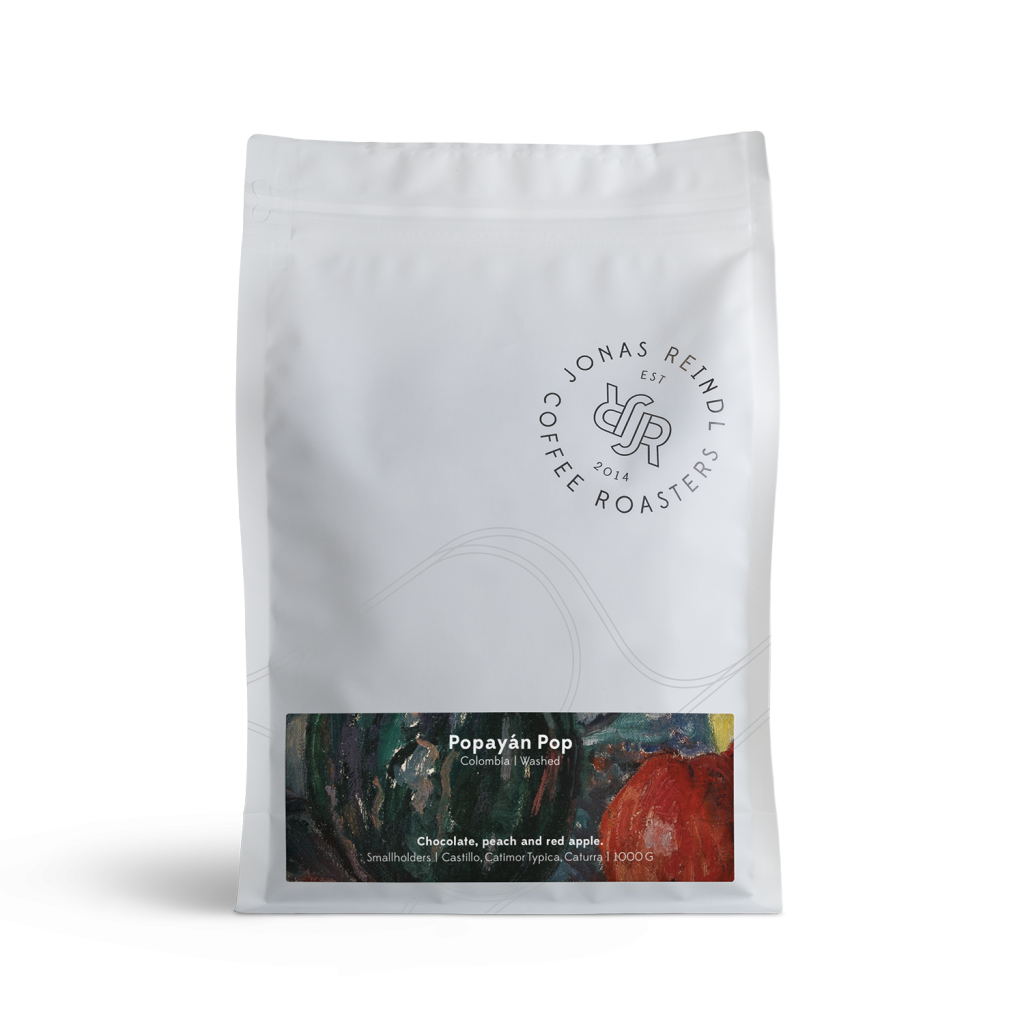 reindl-ps-1000g-popayan-pop-s