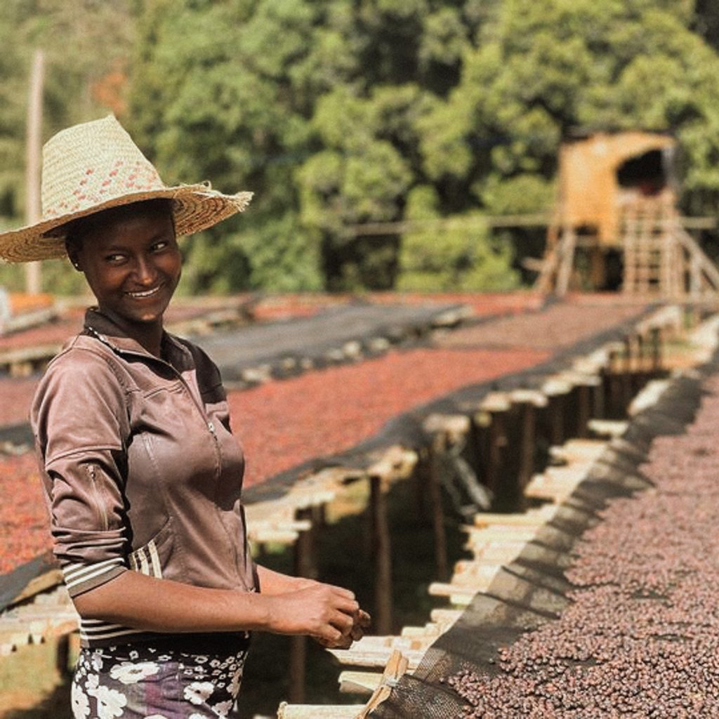 reindl-origin-karamo-mimosa-1