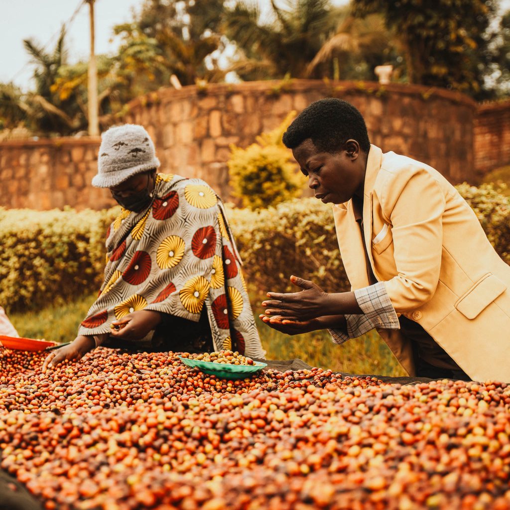 reindl-musasa-bonbon-origin-web-10