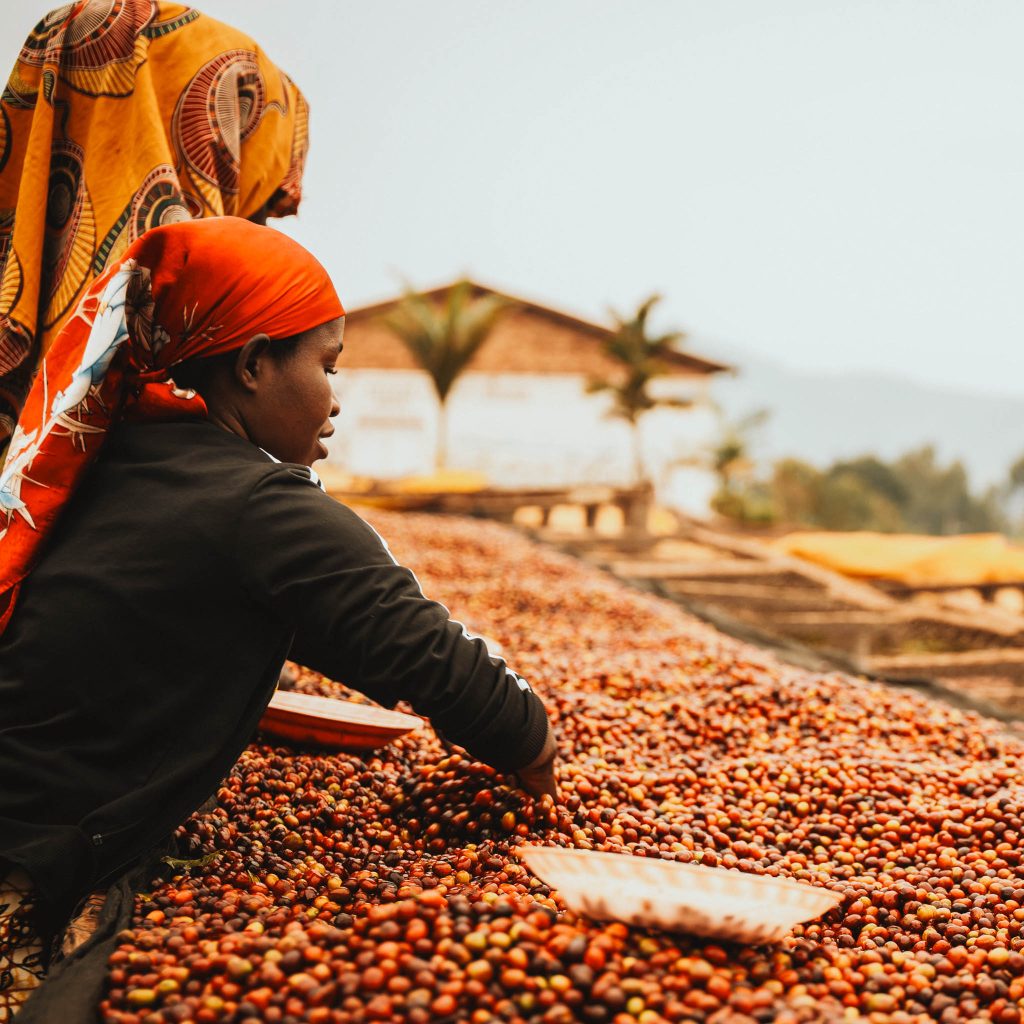 reindl-musasa-bonbon-origin-web-11