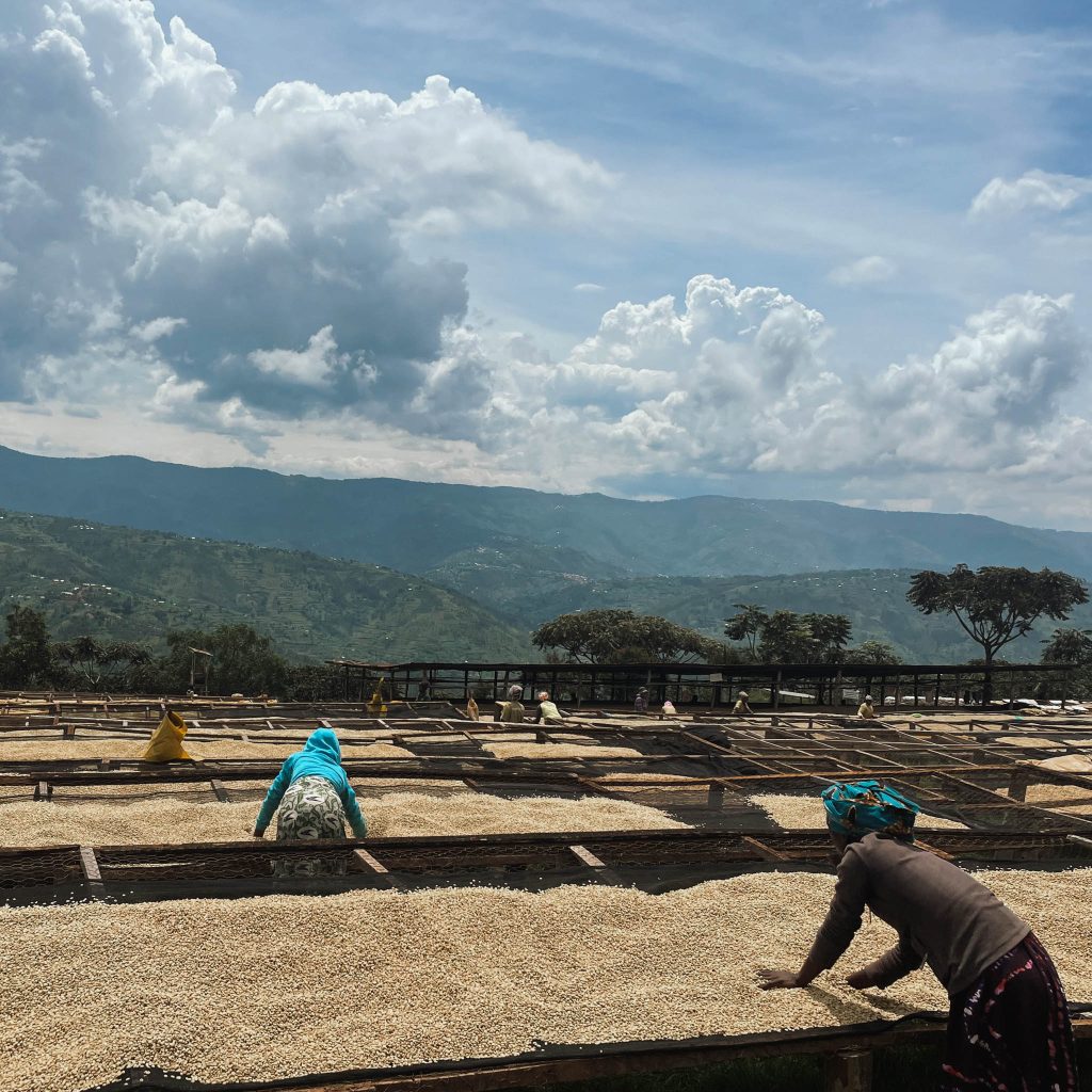 reindl-musasa-bonbon-origin-web-5