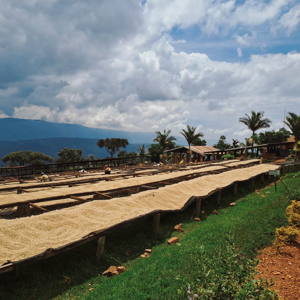 reindl-musasa-bonbon-origin-web-7