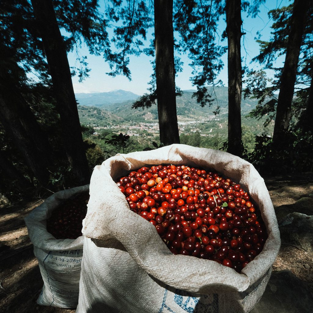 reindl-origin-las-nubes-3