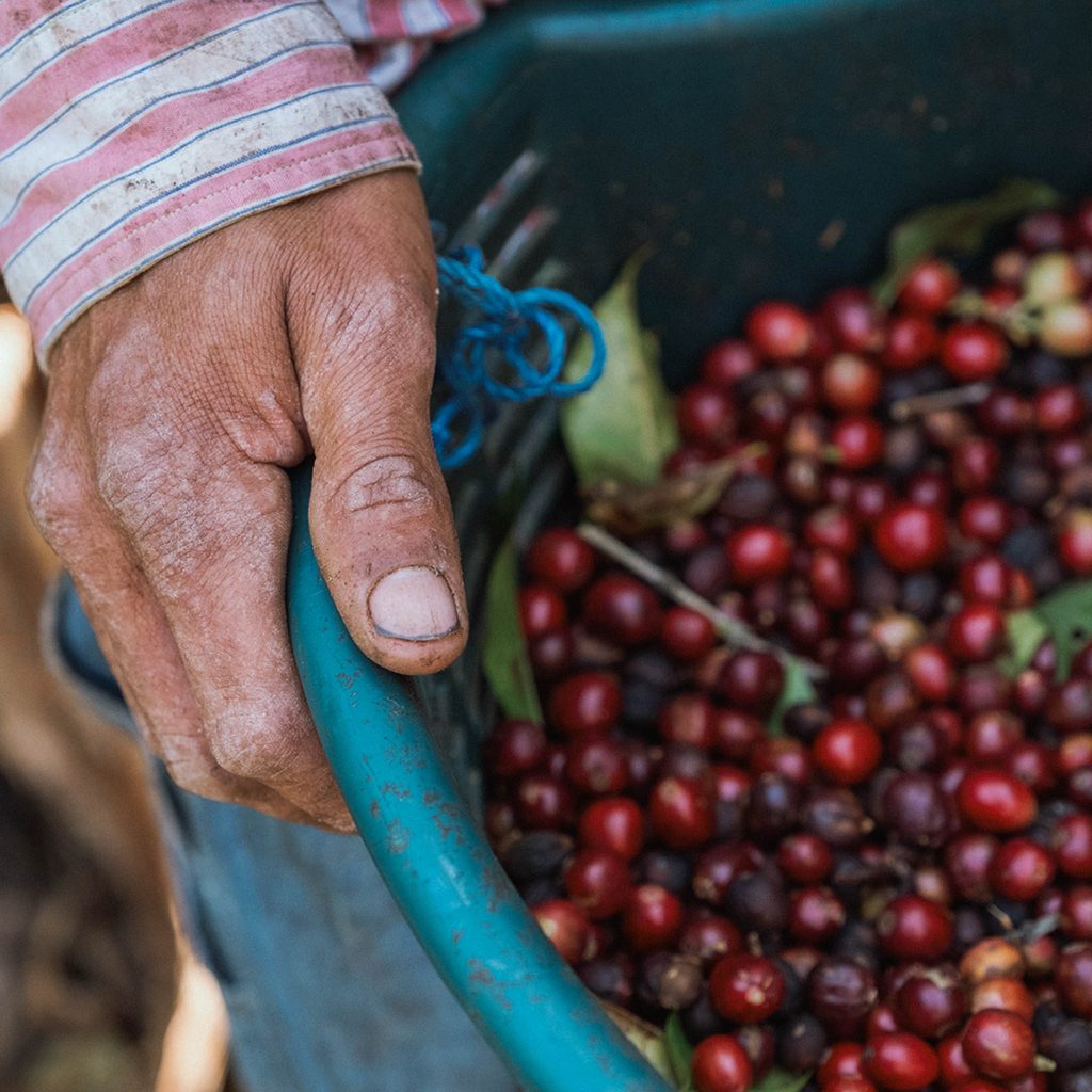 reindl-origin-las-nubes-4