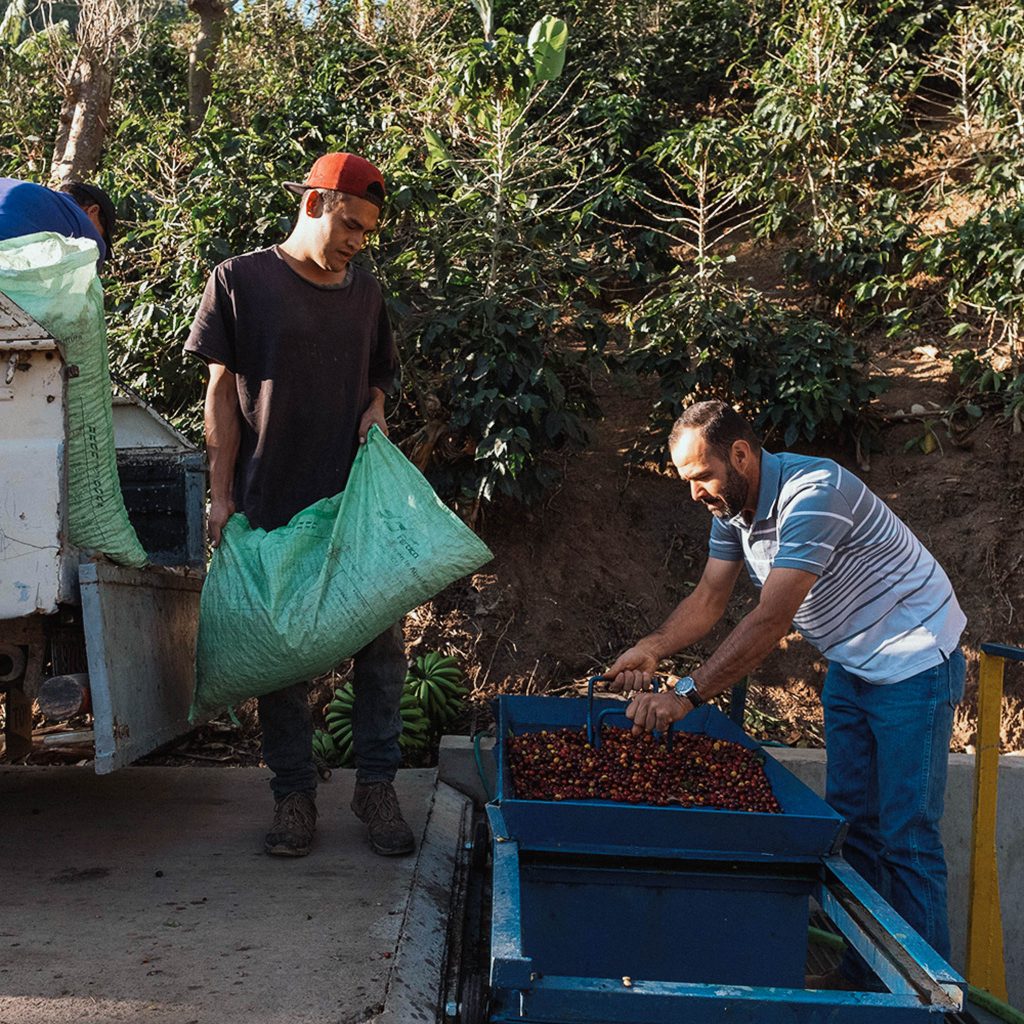 reindl-origin-las-nubes-6