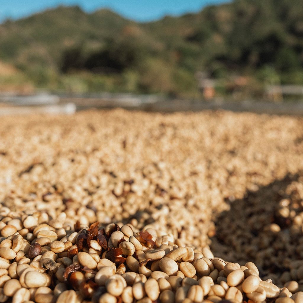 reindl-origin-las-nubes-7