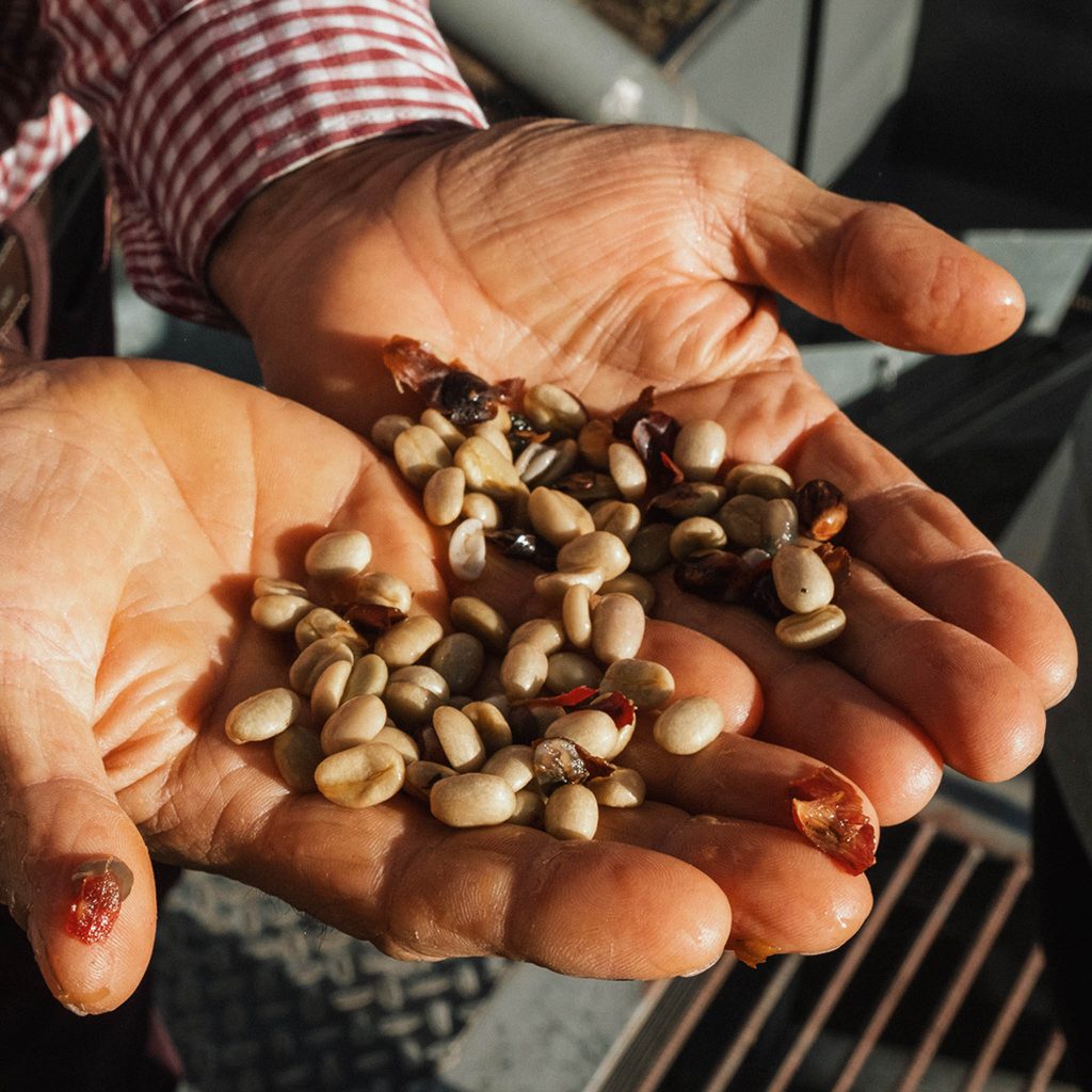 reindl-origin-las-nubes-8