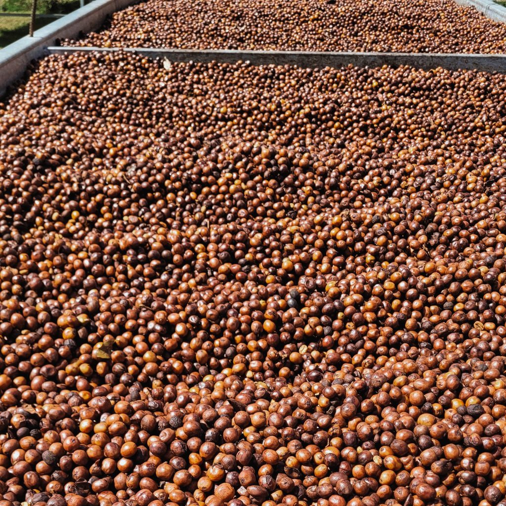 reindl-origin-las-nubes-9