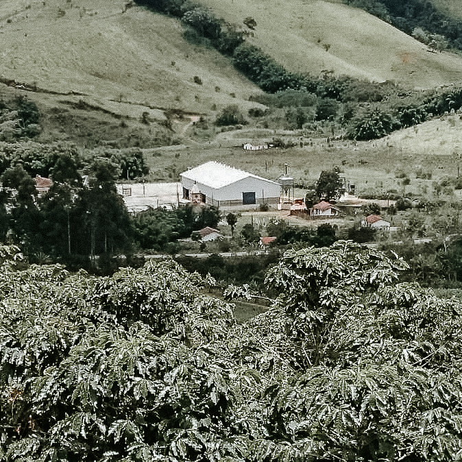 reindl-origins-fazenda-furnas-web-2