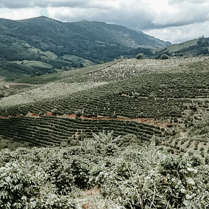 reindl-origins-fazenda-furnas-web-3