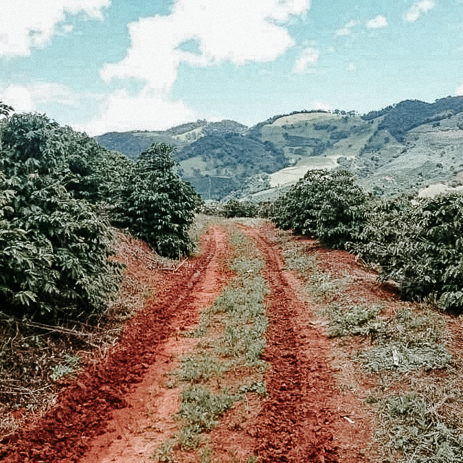 reindl-origins-fazenda-furnas-web-4
