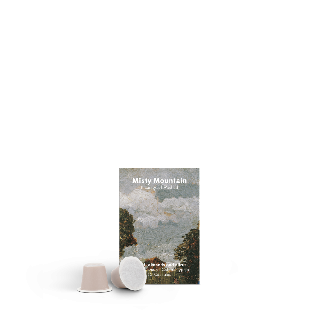 reindl-ps-capsules-misty-mountain-c