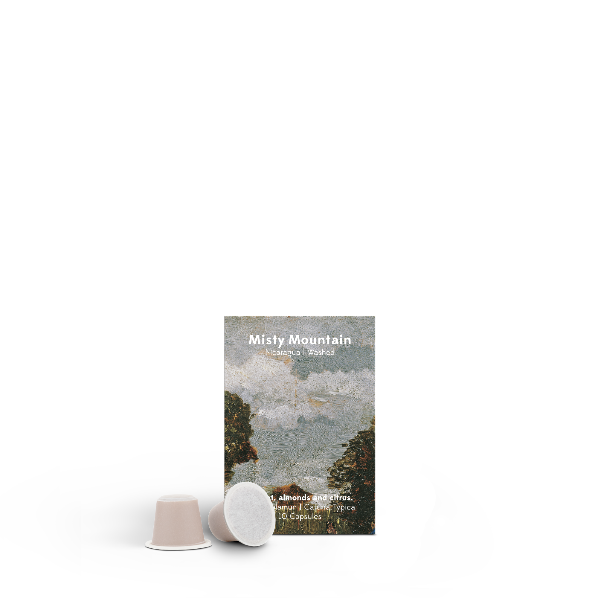 reindl ps capsules misty mountain c 1