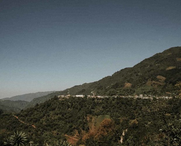 jonas-reindl-coffee-roasters-vienna-origin-guatemala-el-boqueron-2 jonas-reindl-coffee-roasters-vienna-origin-guatemala-el-boqueron-2