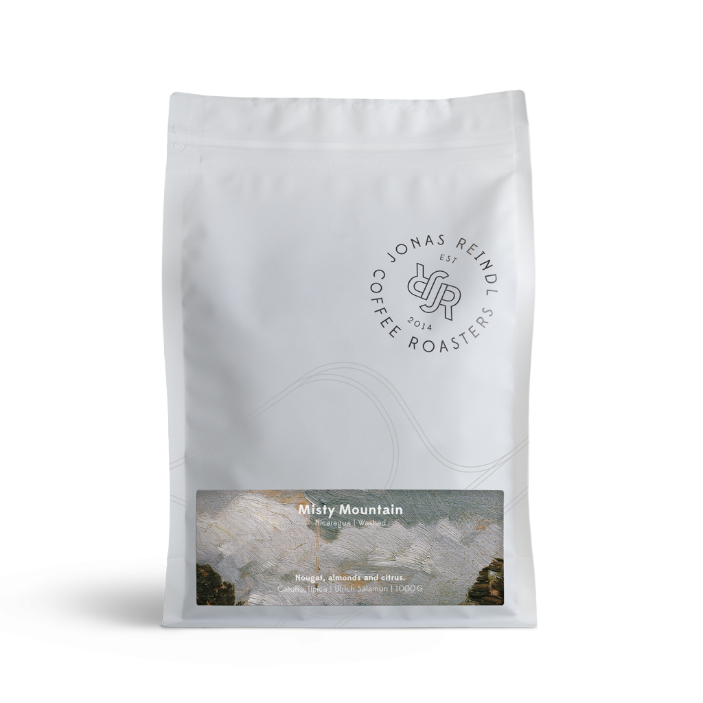 reindl-ps-1000g-misty-mountain-s