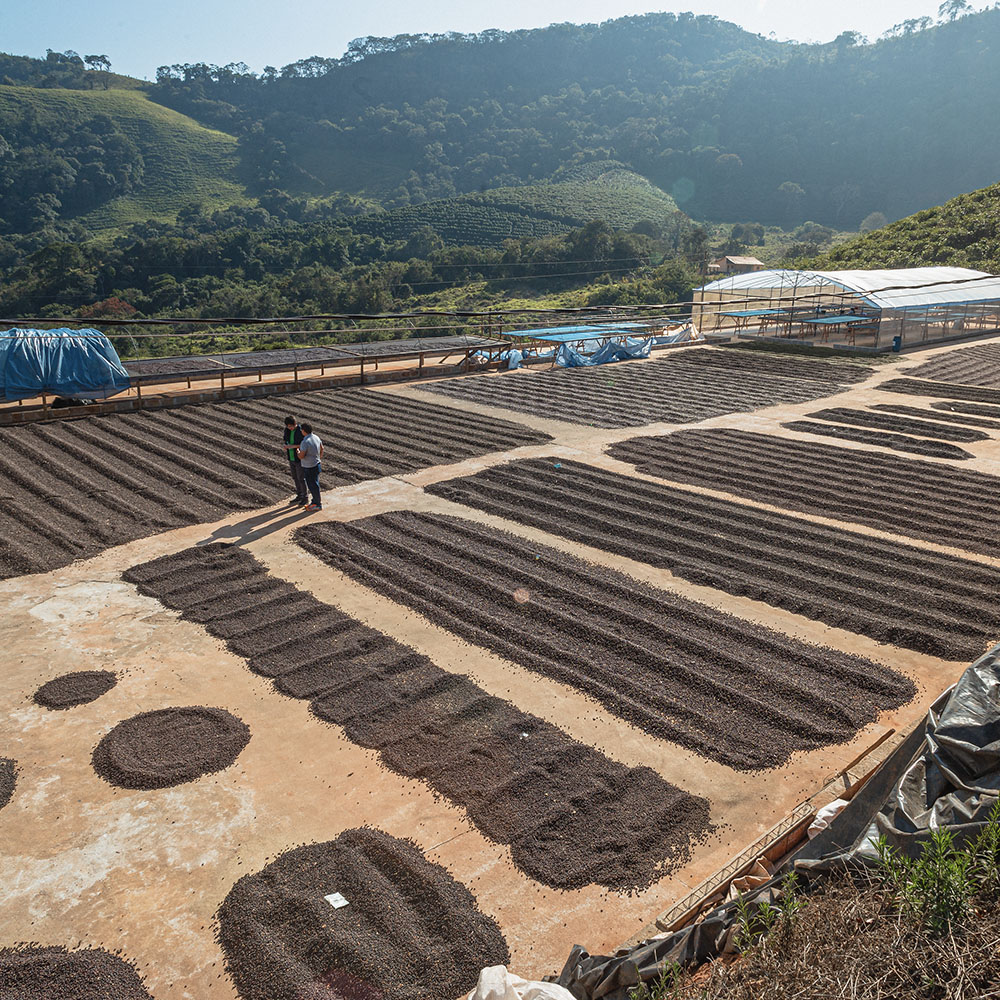 reindl-origin-brazil-minas-gerais-collective-5