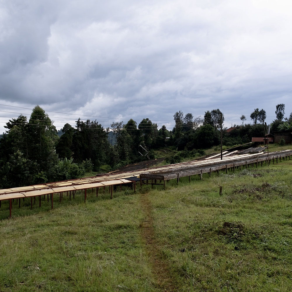 reindl-origin-kenia-Iria-Ini-co-op-5